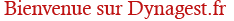 Bienvenue sur Dynagest.fr Bienvenue sur Dynagest.fr